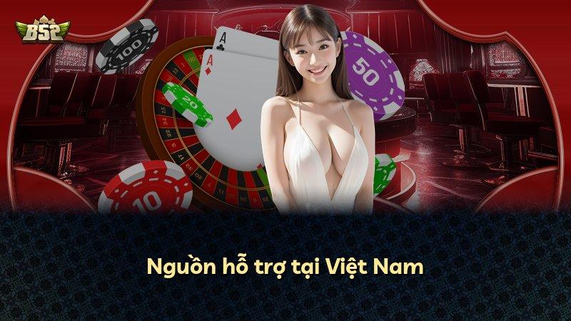 Nguồn hỗ trợ tại Việt Nam